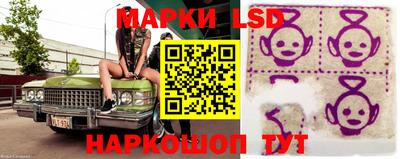 шишки Аргун