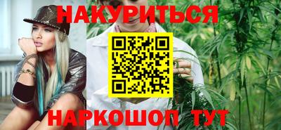 шишки Аргун