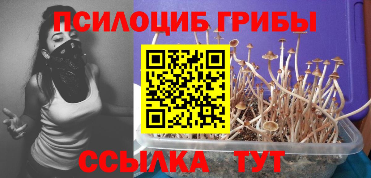 Псилоцибиновые грибы MAGIC MUSHROOMS  Вход с VPN  Верхний Уфалей 